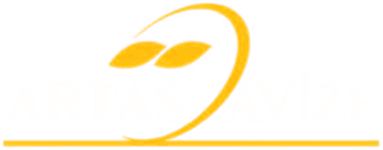 ARTAŞ AVİZE